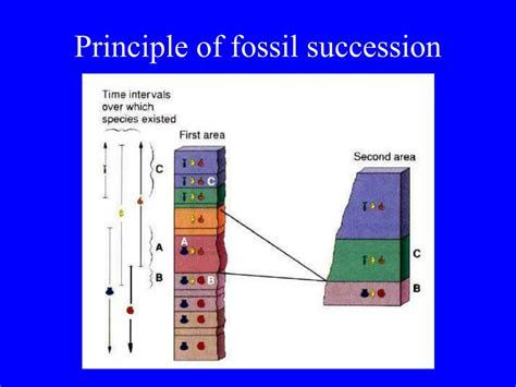 fossil succession definition geology.